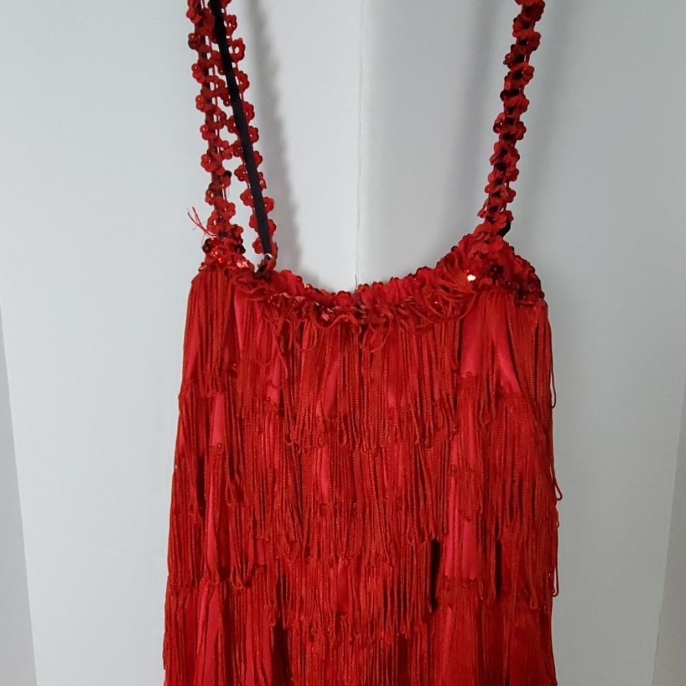 Roaring 20s Flapper Fringe Costume Dress